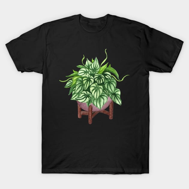 Peperomia argyreia watermelon T-Shirt by gronly